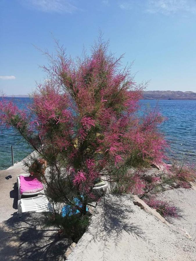 Apartmani Ivankovic Karlobag Luaran gambar