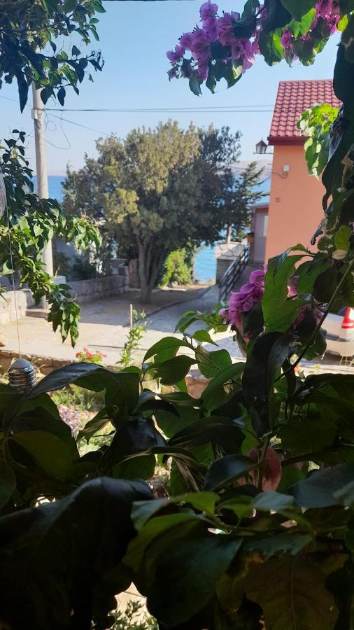 Apartmani Ivankovic Karlobag Bilik gambar